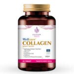 WELLCARE KOLAJEN CILT 60 TABLET