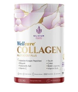 WELLCARE KOLAJEN NAR AROMALI TOZ